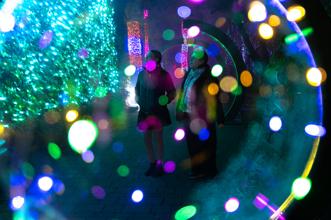 GardenofLights PeterPan ForgacsZsuzsi 20251014-5