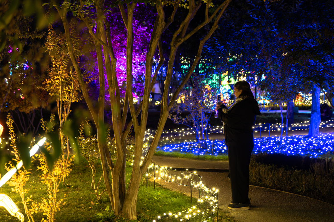 GardenofLights PeterPan ForgacsZsuzsi 20251014-58