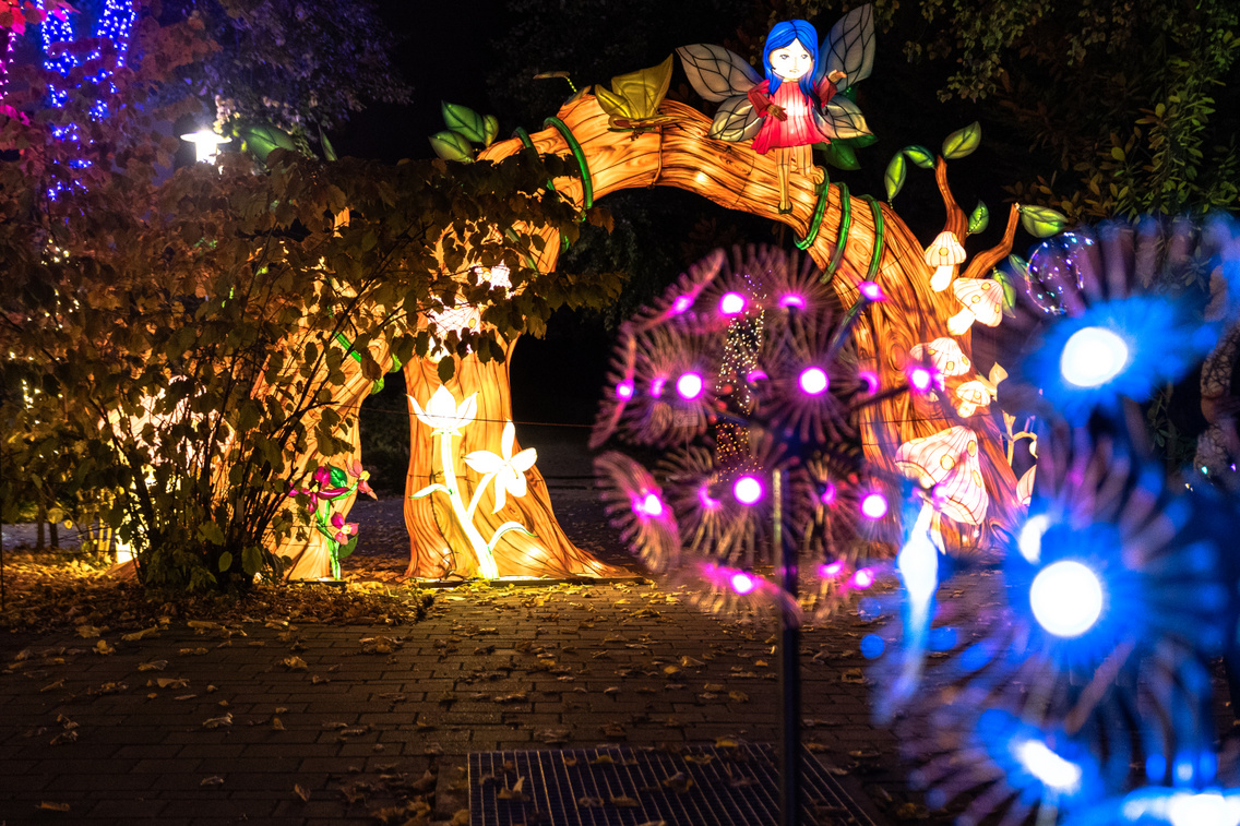 GardenofLights PeterPan ForgacsZsuzsi 20251014-42