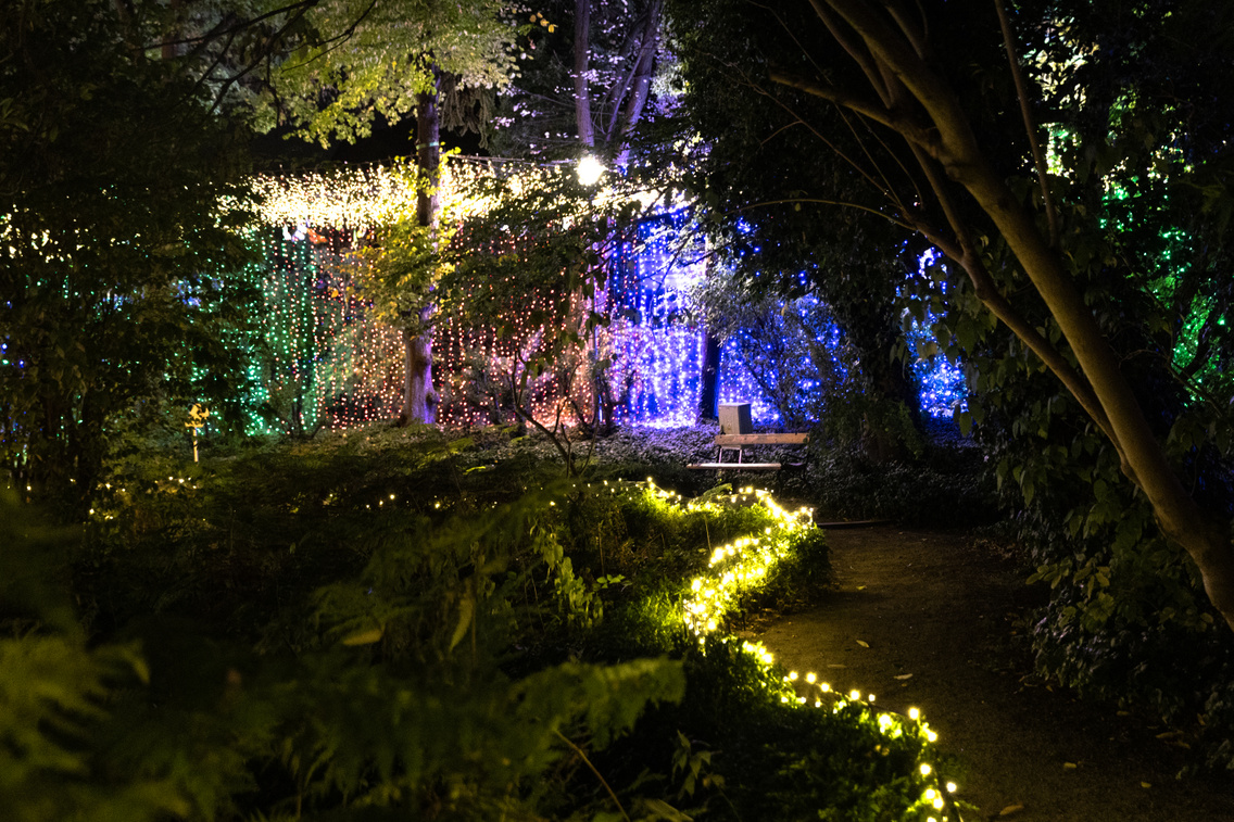 GardenofLights PeterPan ForgacsZsuzsi 20251014-52