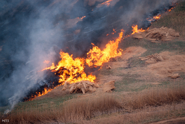 Ha elterjed a tűz, milliós bírság is lehet a kerti avarégestés vége