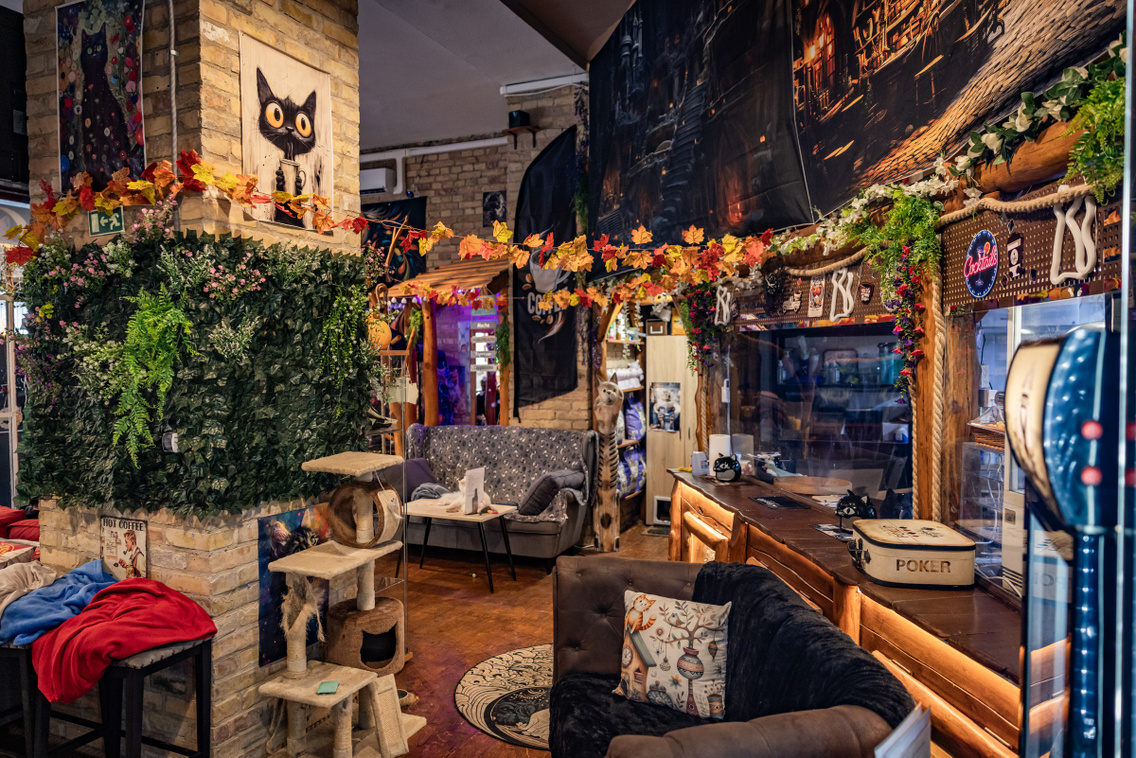 Cat Wood Cafe 251007 Szabó Gábor 012