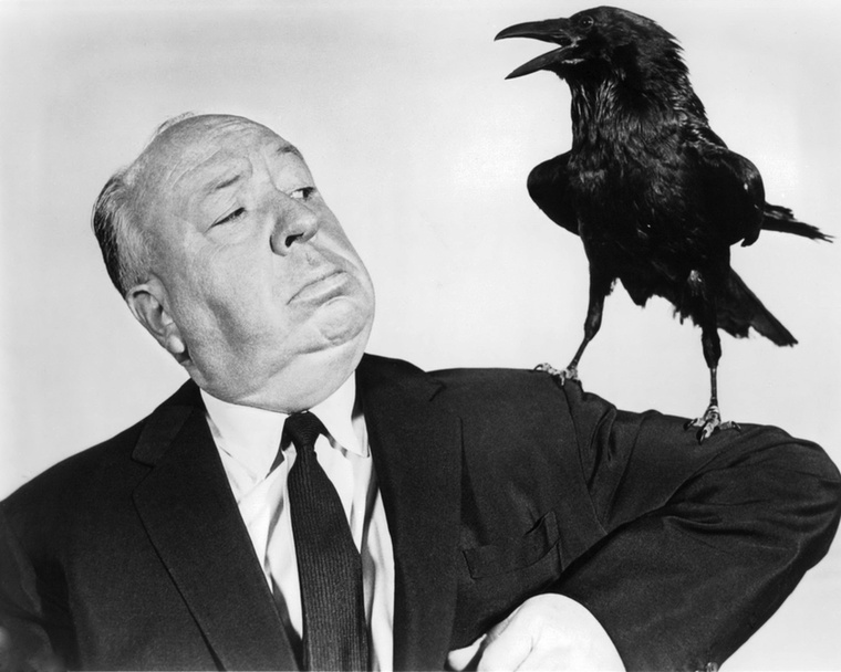 Alfred HitchcockTippi Hedren a Madarak forgatása alatt valós madarakkal dolgozott, amelyek többször is megtámadták, és végül a szeme közelébe csaptak