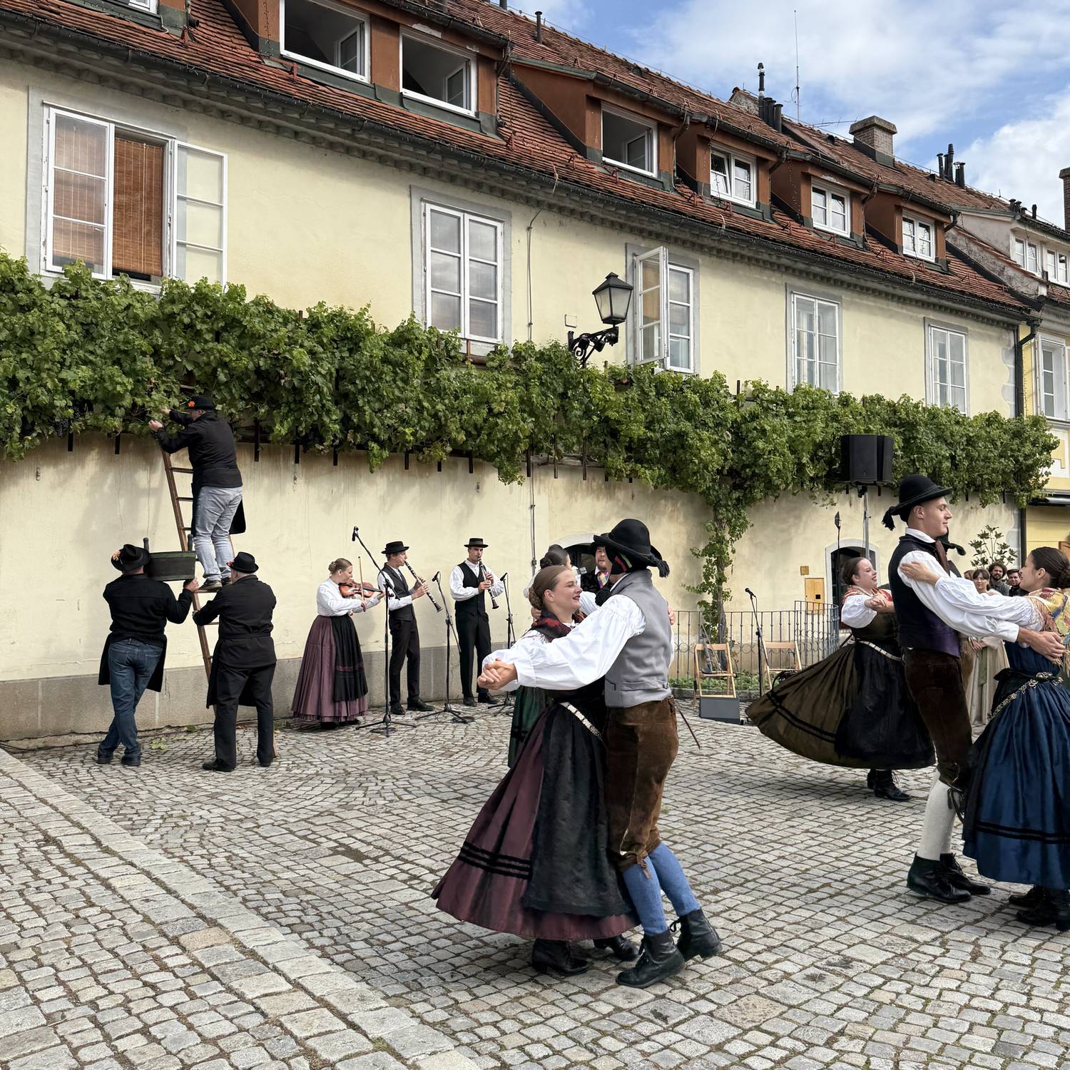 maribor borfesztivál