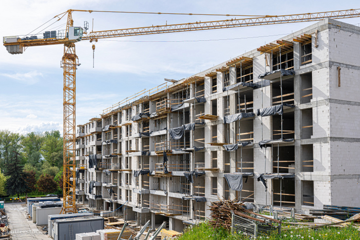 shutterstock 1976149361