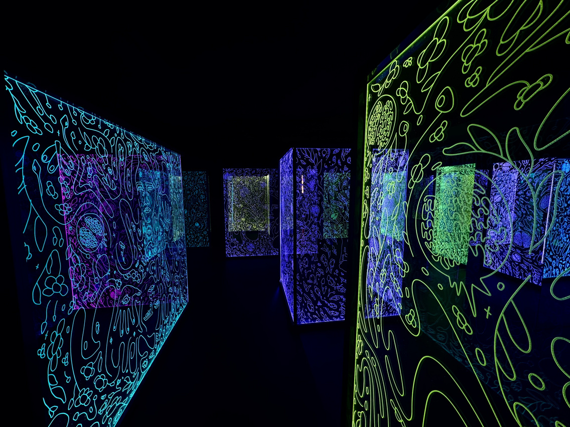 (Fotó: IKONO Budapest)