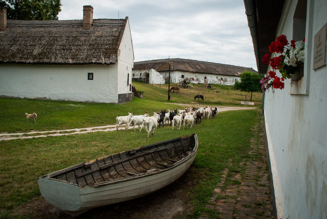 sb-20150731-szantodpuszta-szantod-dsc-0054-gr