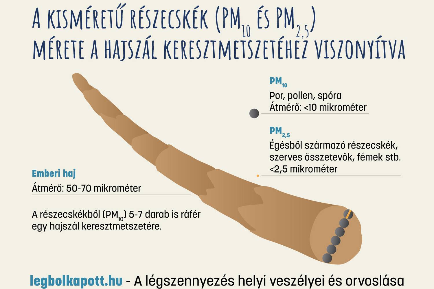 Legyszennyezes infografika