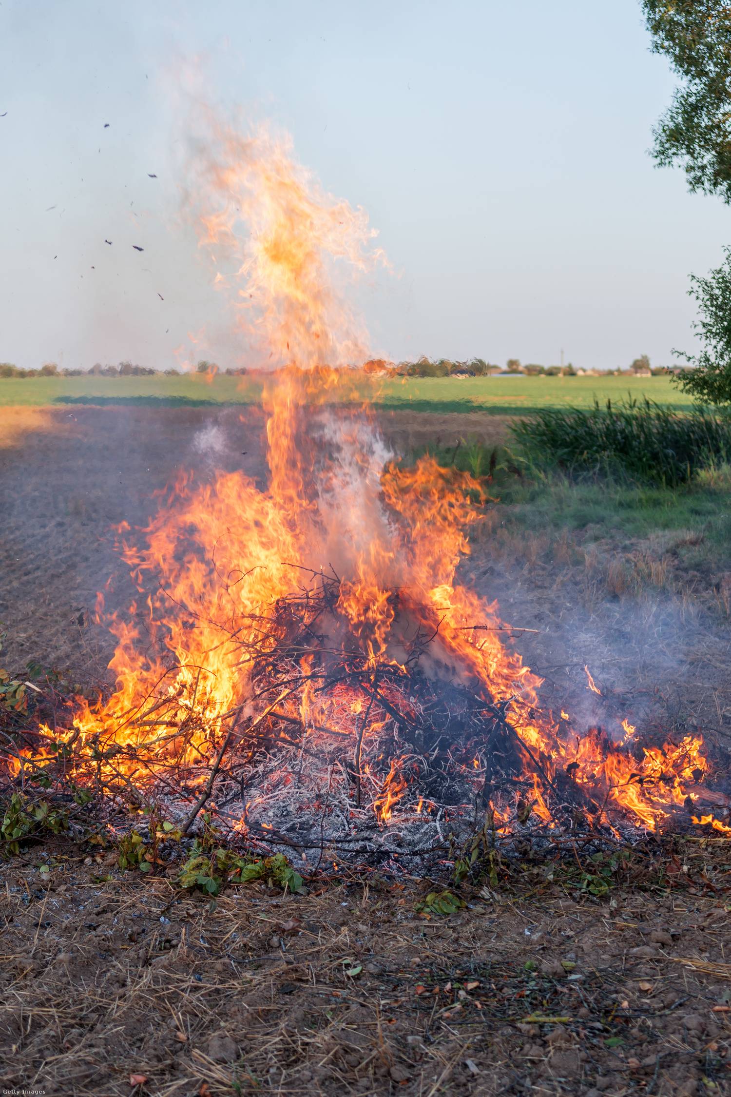 Légszennyezés káros hatásai az emberre 1