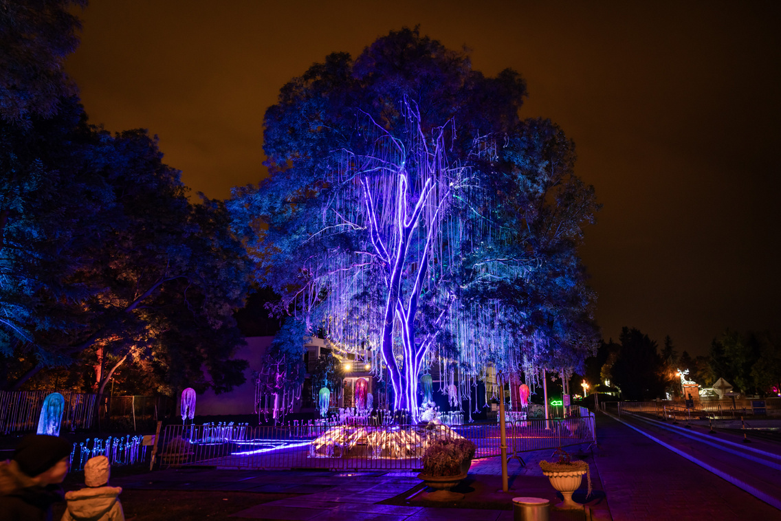 Lumina park 251021 Szabó Gábor 052