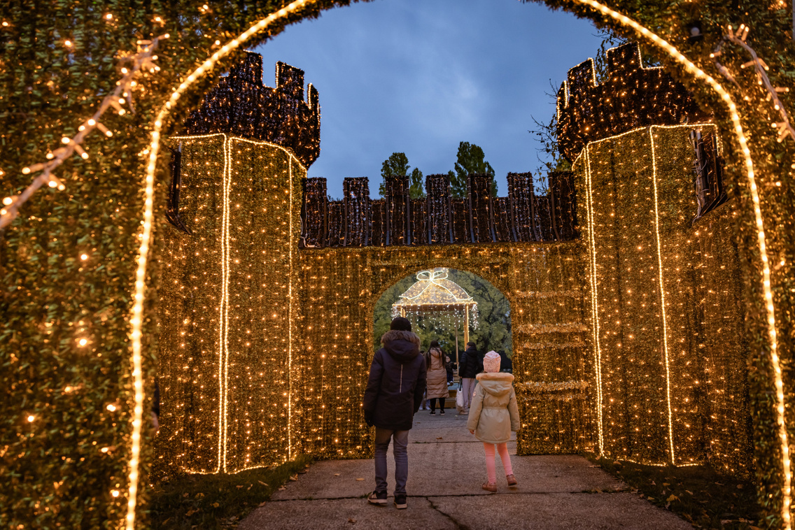 Lumina park 251021 Szabó Gábor 014