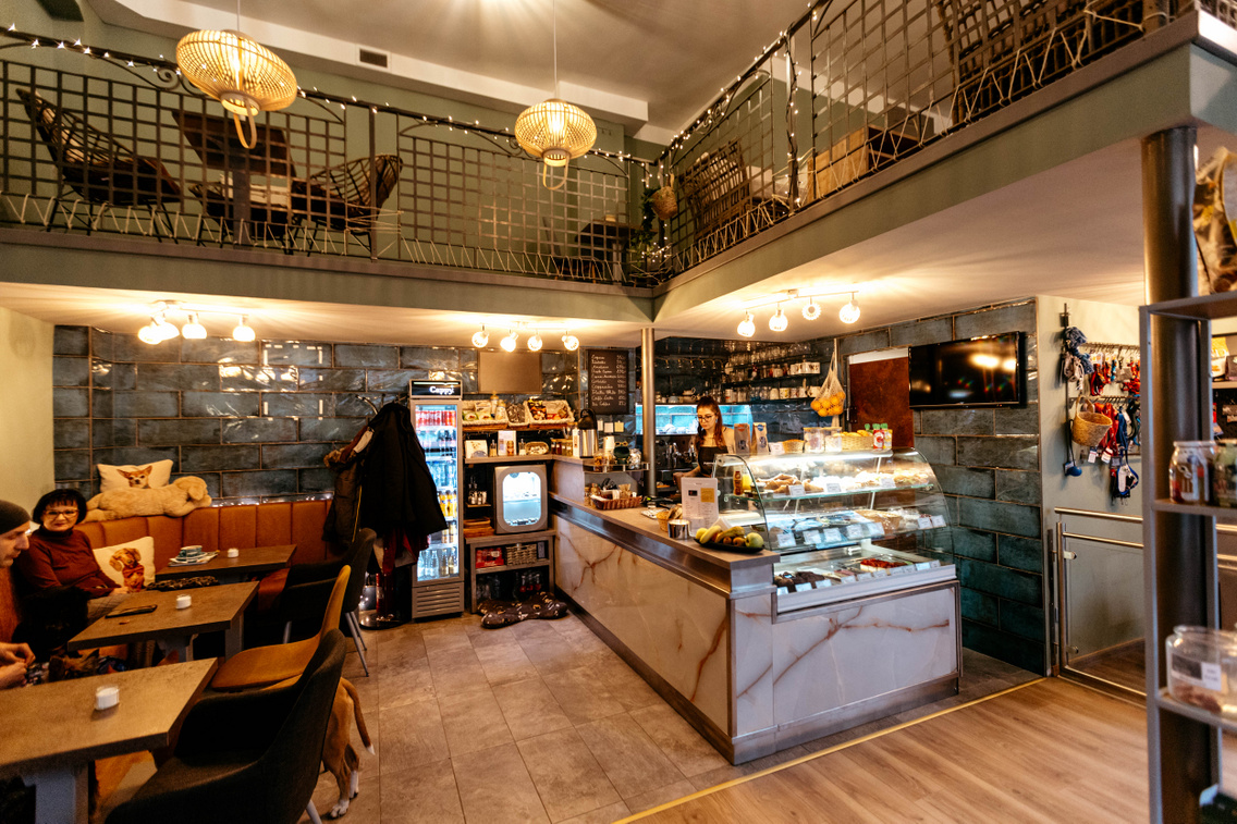 puppychino-forga-cszsuzsi-20230126-30