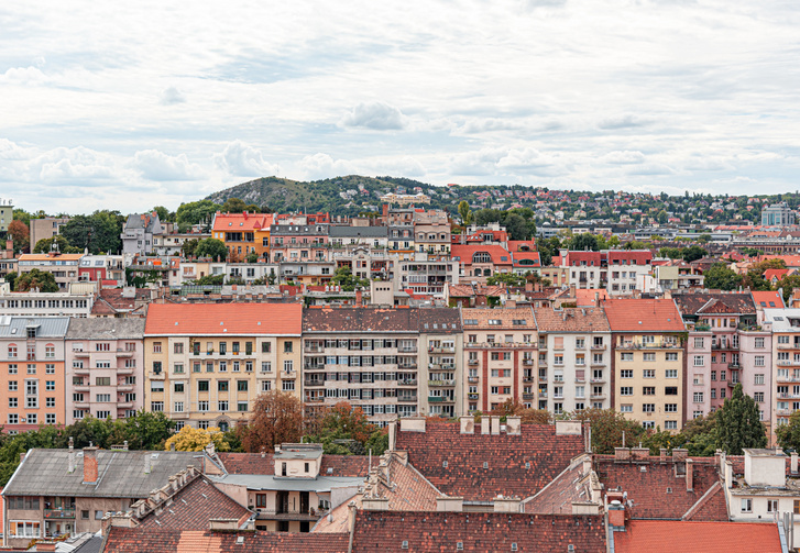 shutterstock 2191011723