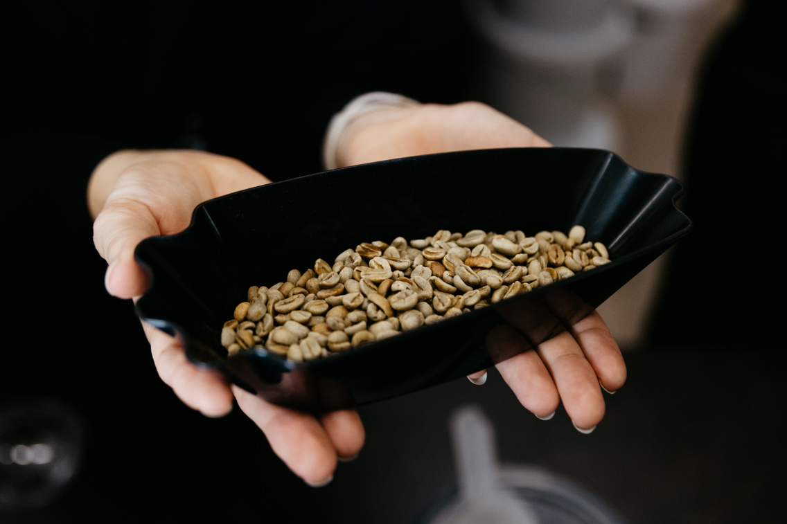 MOLU ForgacsZsuzsi 20251030-19