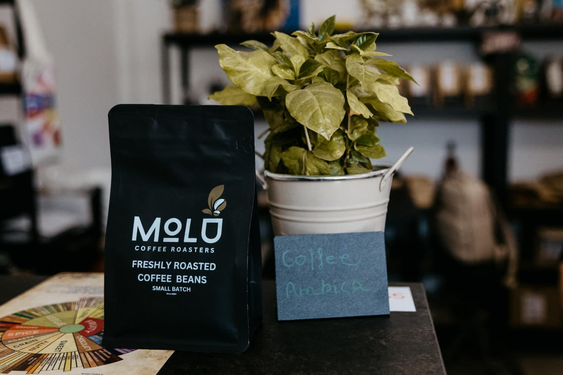 MOLU ForgacsZsuzsi 20251030-29