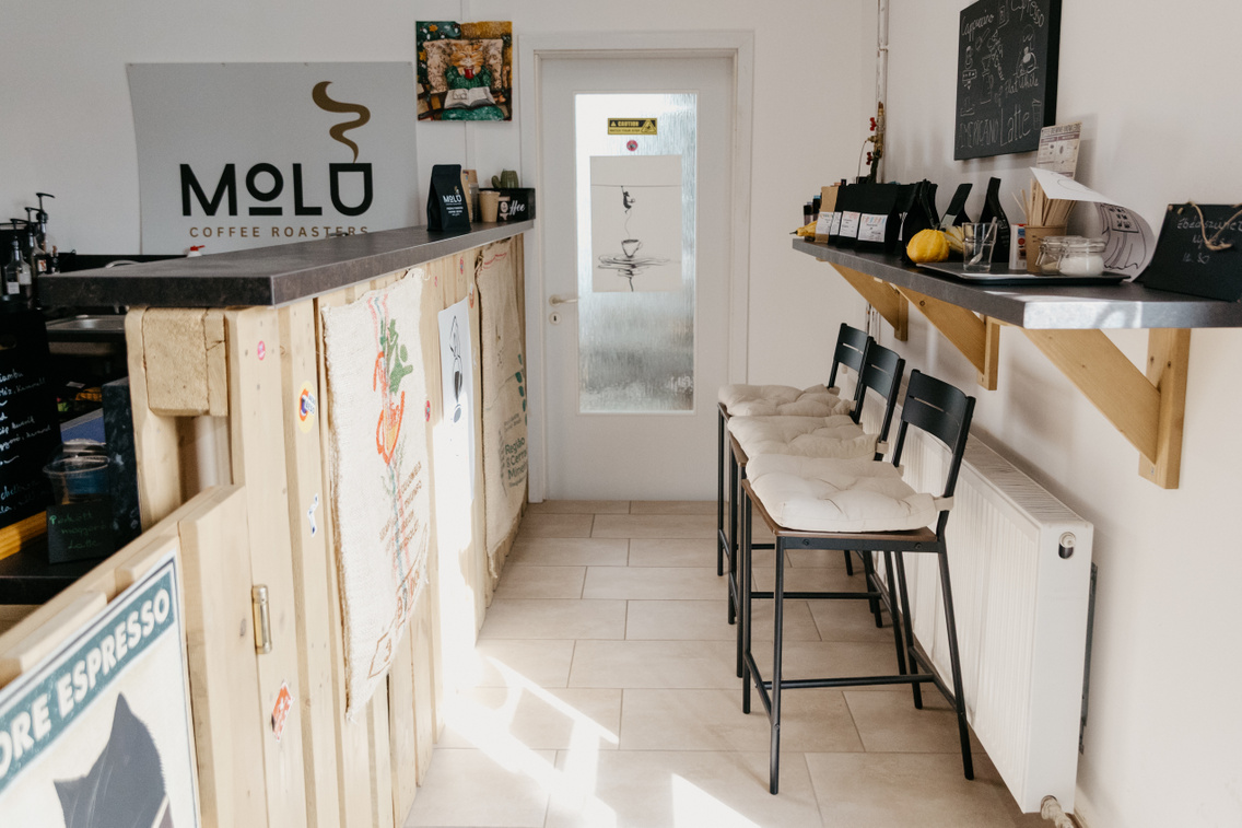 MOLU ForgacsZsuzsi 20251030-30