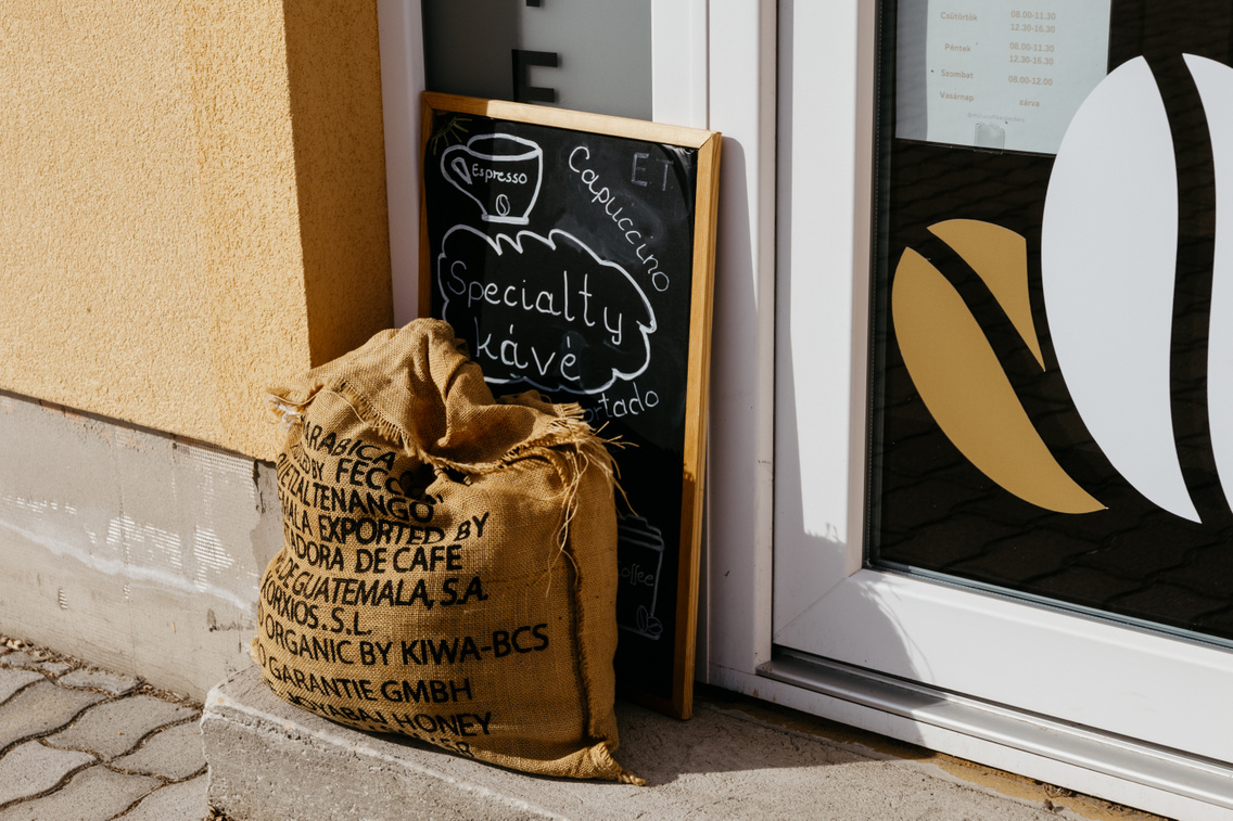 MOLU ForgacsZsuzsi 20251030-34