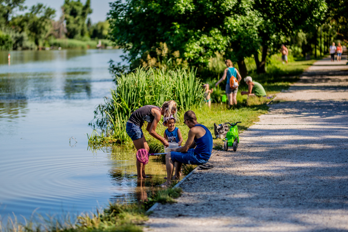 Életkép a Kolonics György sétányon