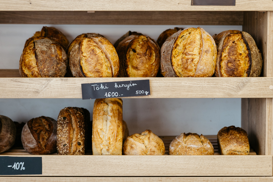 Apakovasz ForgacsZsuzsi 20251030-15