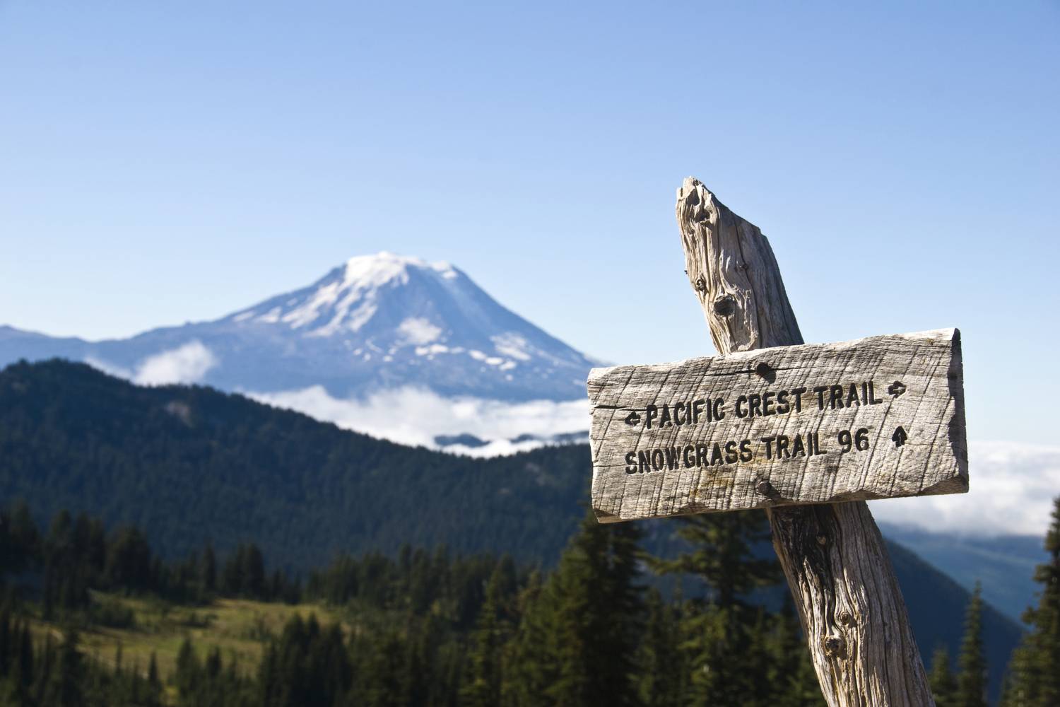pct