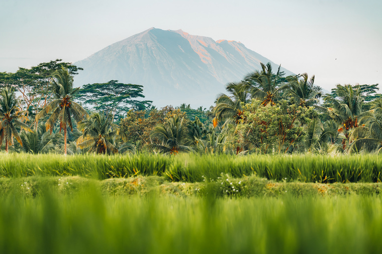 BaliBali esetében február és május között érdemes repülőjegyet keresni olcsóbban