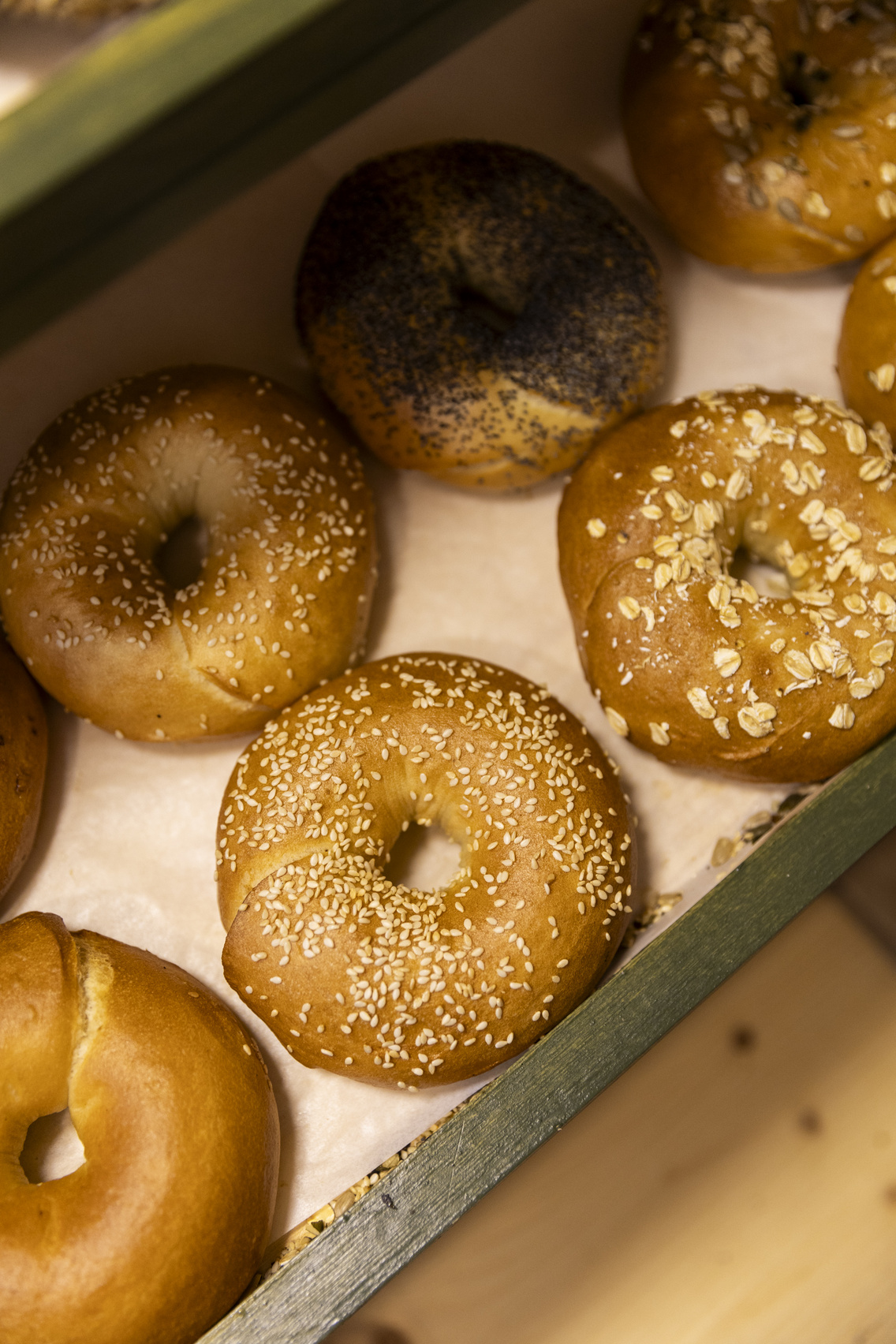 toms bagel 251105 dontaszzoi 21