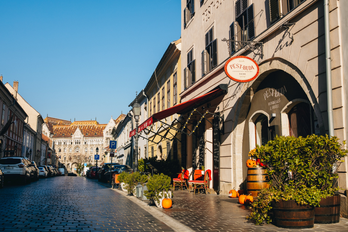 pest buda vendeglo polyak attila 20251106 001