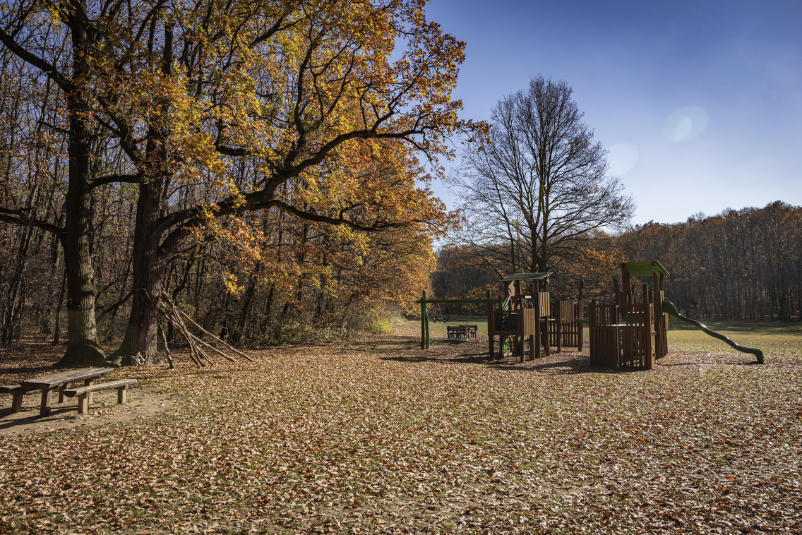 Chery Tiggo 7 teszt251107 Szabó Gábor 033