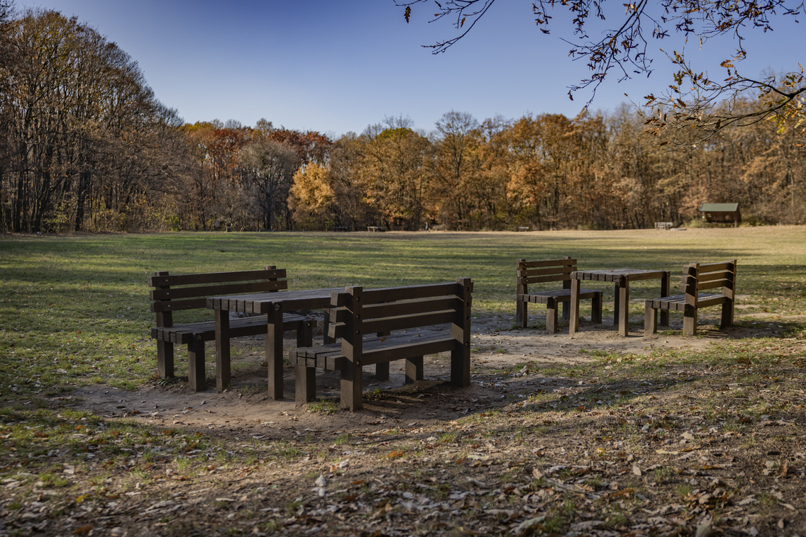 Chery Tiggo 7 teszt251107 Szabó Gábor 066