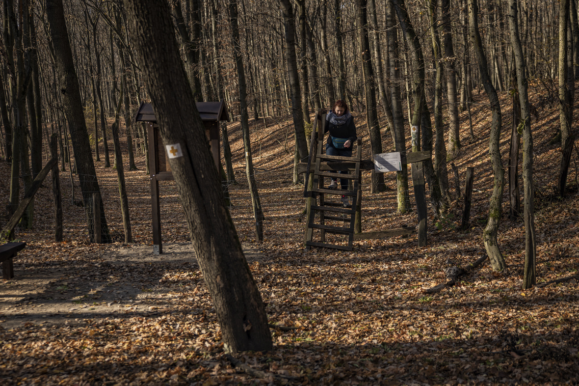 Chery Tiggo 7 teszt251107 Szabó Gábor 064