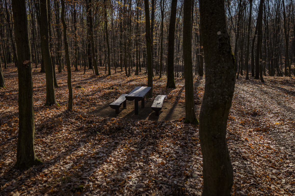 Chery Tiggo 7 teszt251107 Szabó Gábor 058