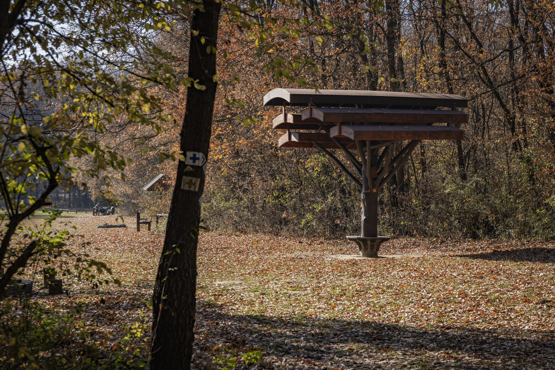 A különleges esőbeálló