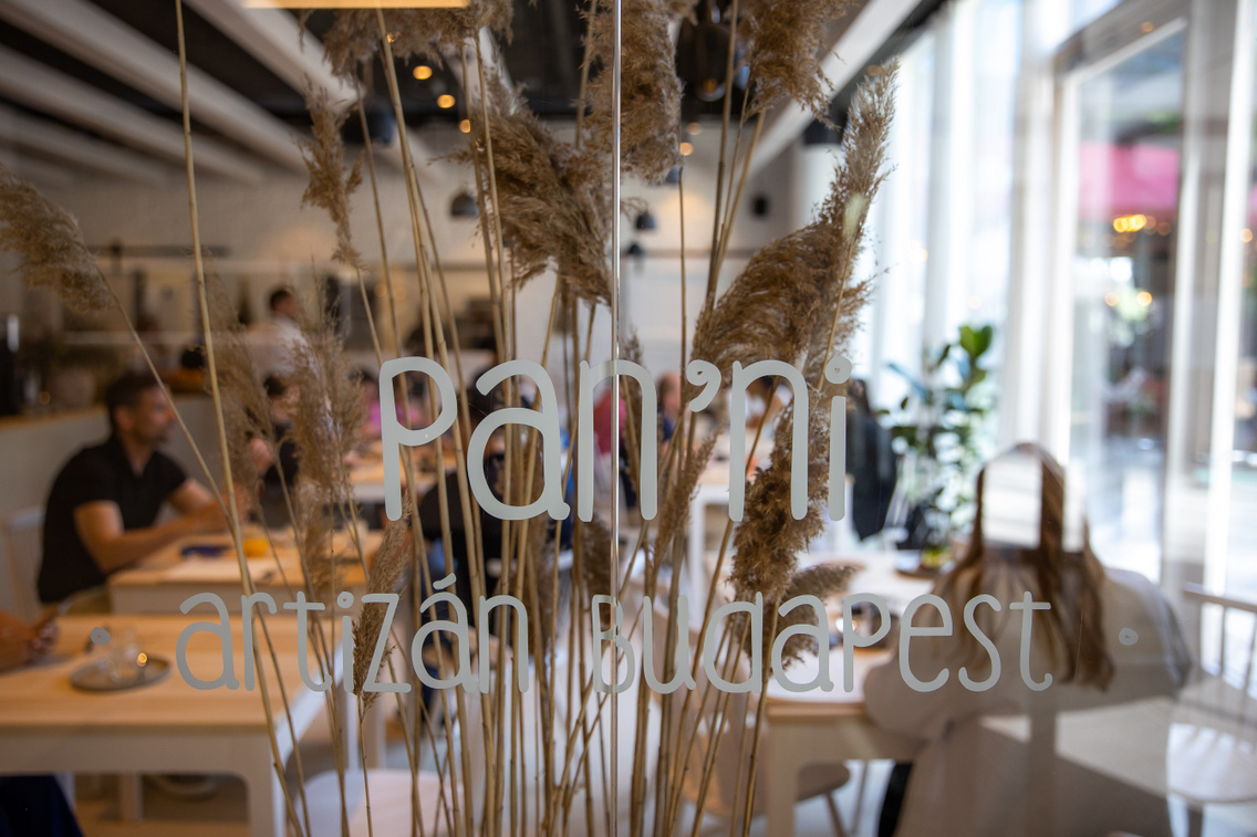 panni-017