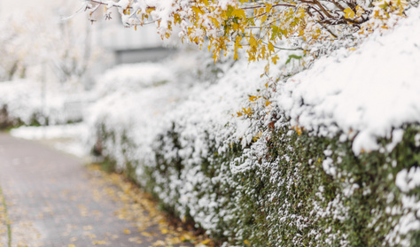 Szabálysértést követsz el, ha ezt a tárgyat a házad elé teszed