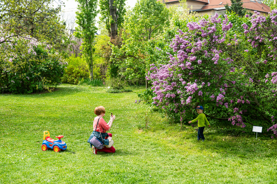 tavasz budai arborétum 054 Medgyesi Milán 20240406