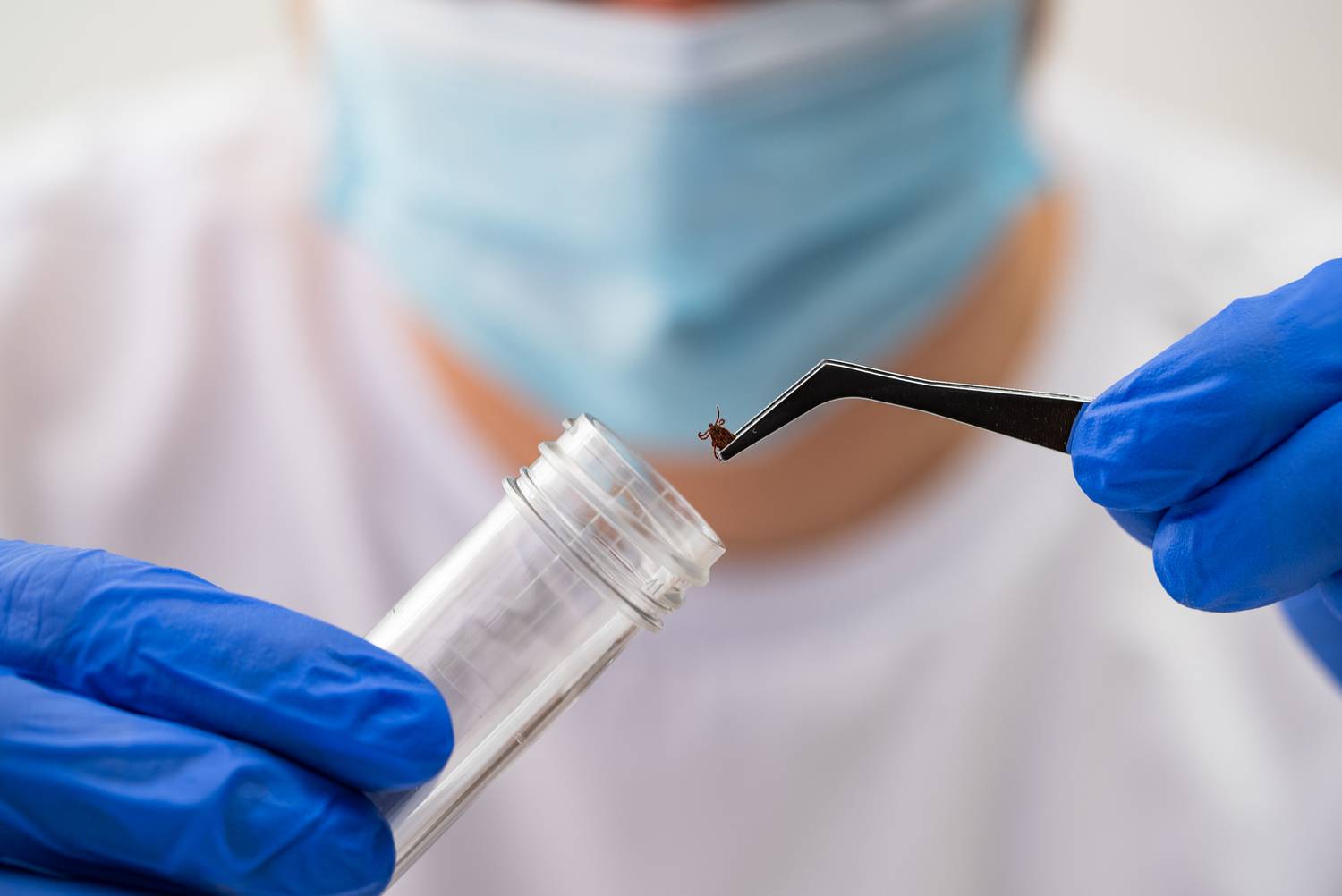 lyme-kor-diagnosztika