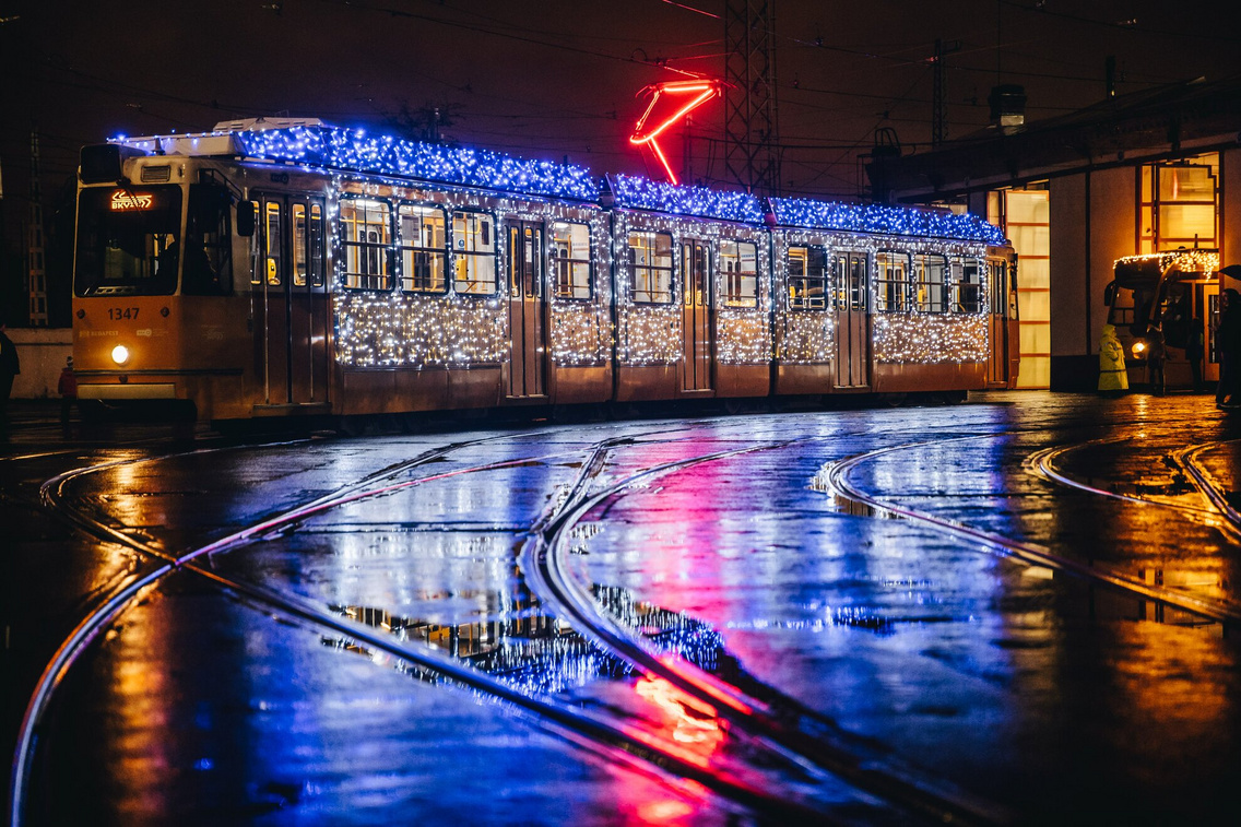 fenyflotta-231201-majorkata-49