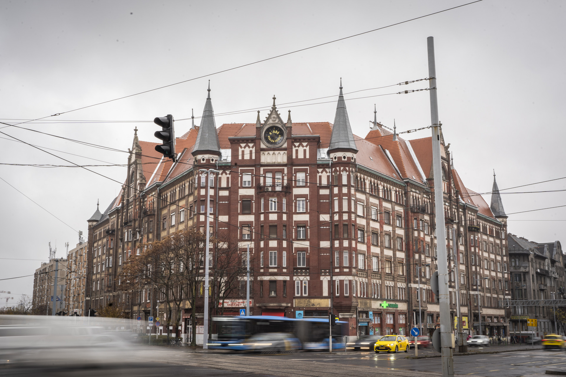 2025.11.21 haller88-05880