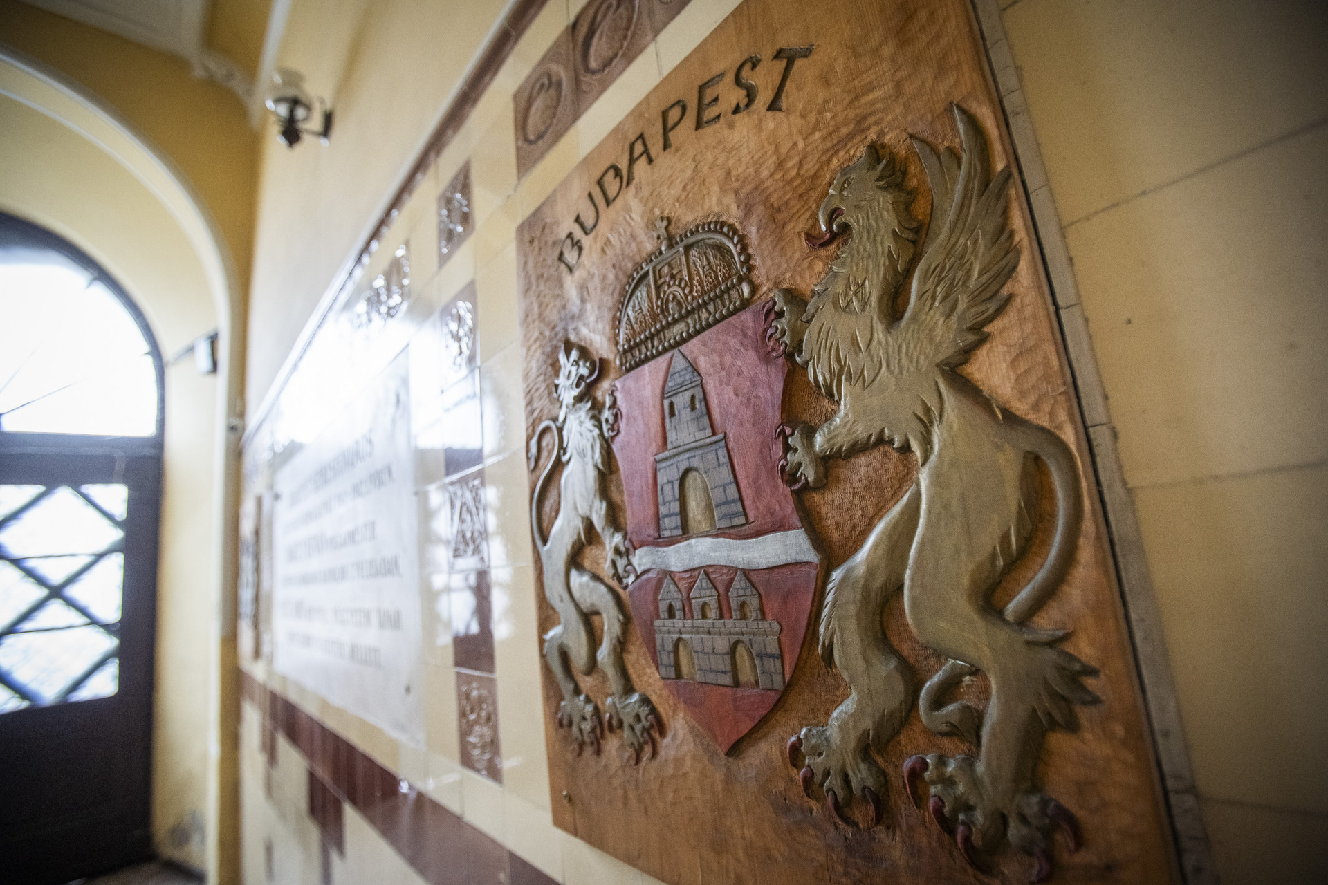 2025.11.21 haller88-05753