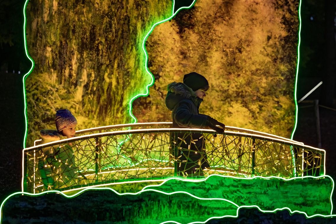 Lumina park 251021 Szabó Gábor 022