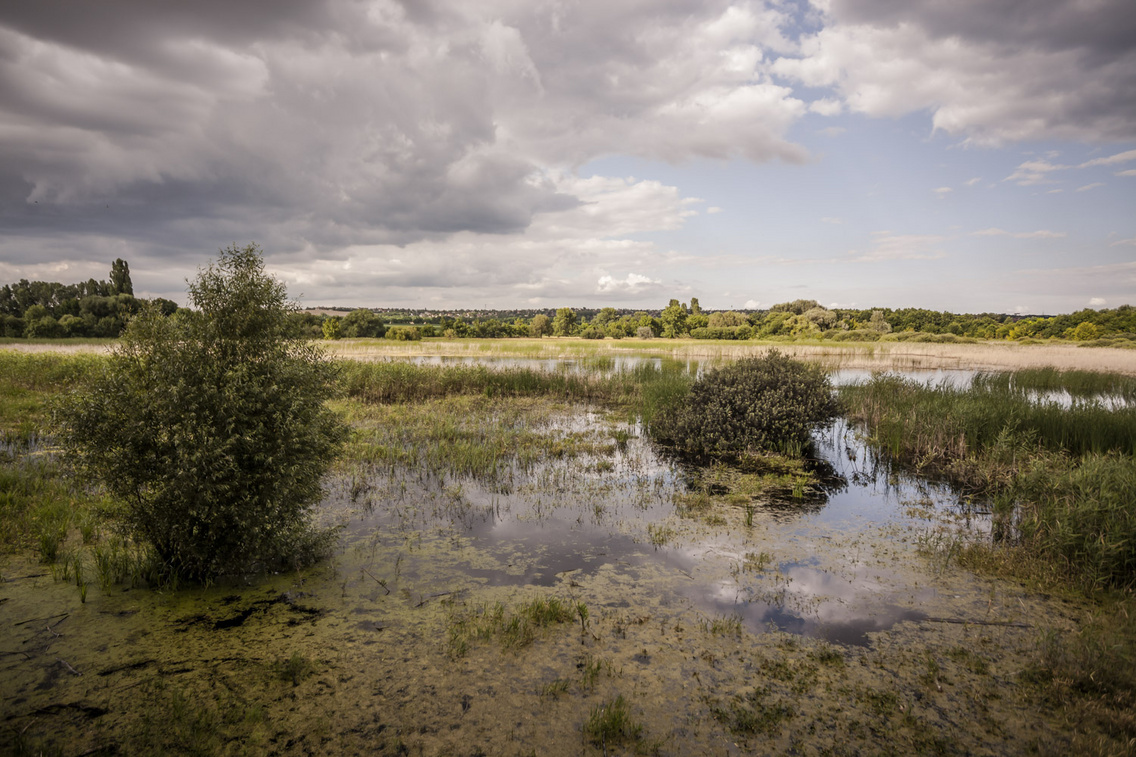 merzse-mocsar hartyanyi-norbert 20160628