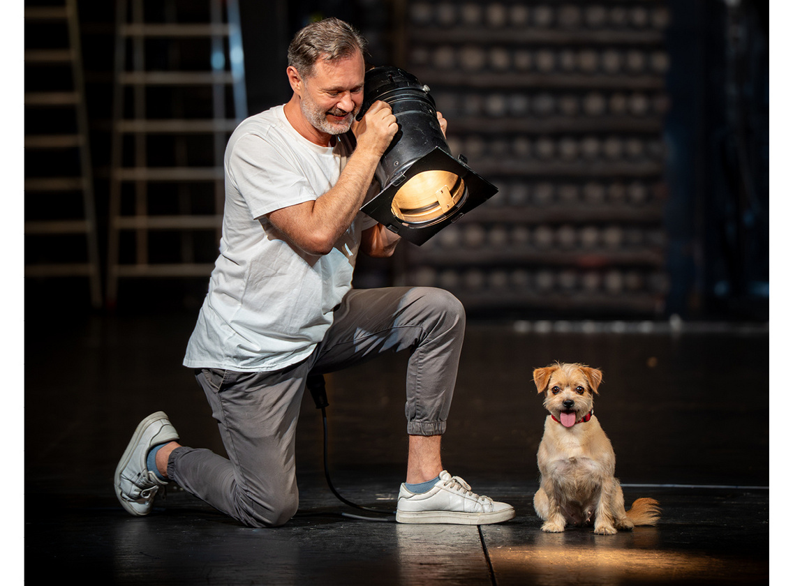 vígszínház-vigyél-haza-alapítvány-589881497 1260934619413302 533