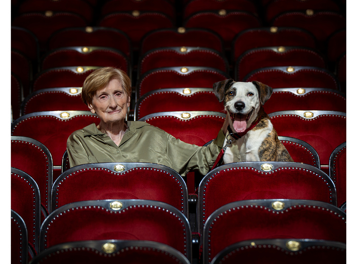 vígszínház-vigyél-haza-alapítvány-589923522 1260934646079966 111