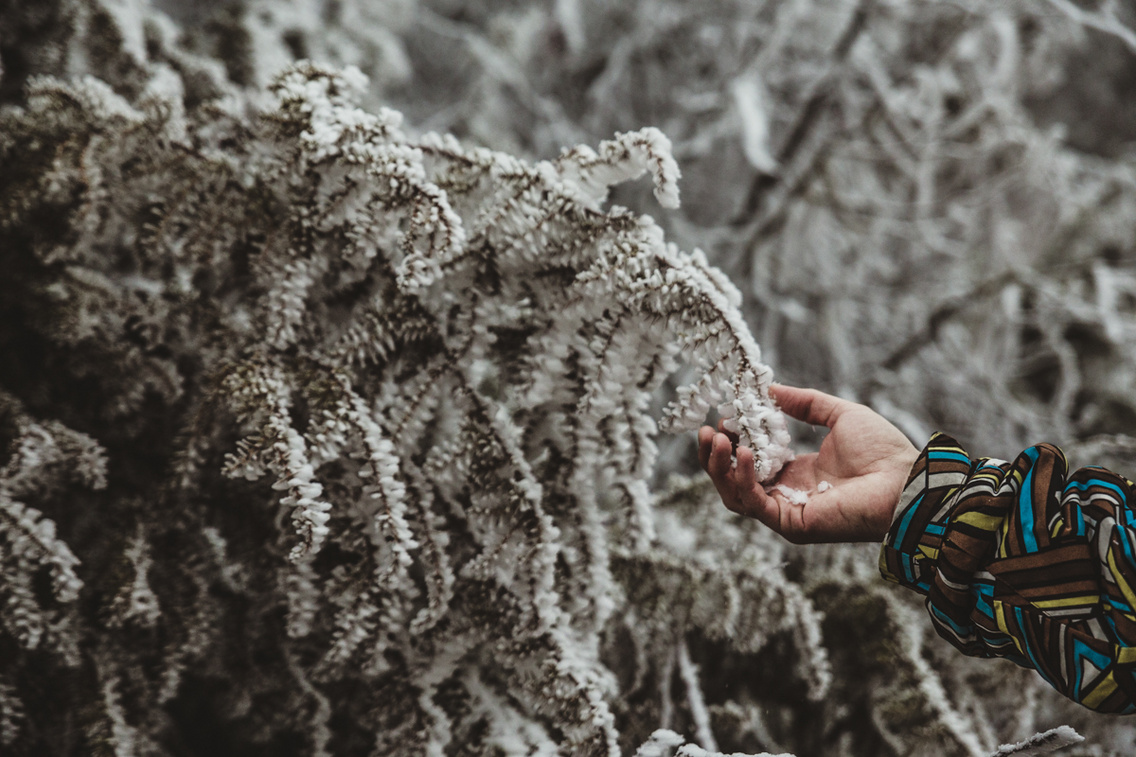 zadorvar-tel-20200120-heima-036