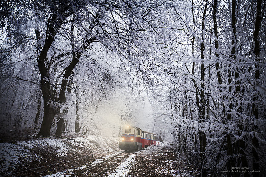 see-wintery-children-s-railway-photos-in-the-hills-above-budapes