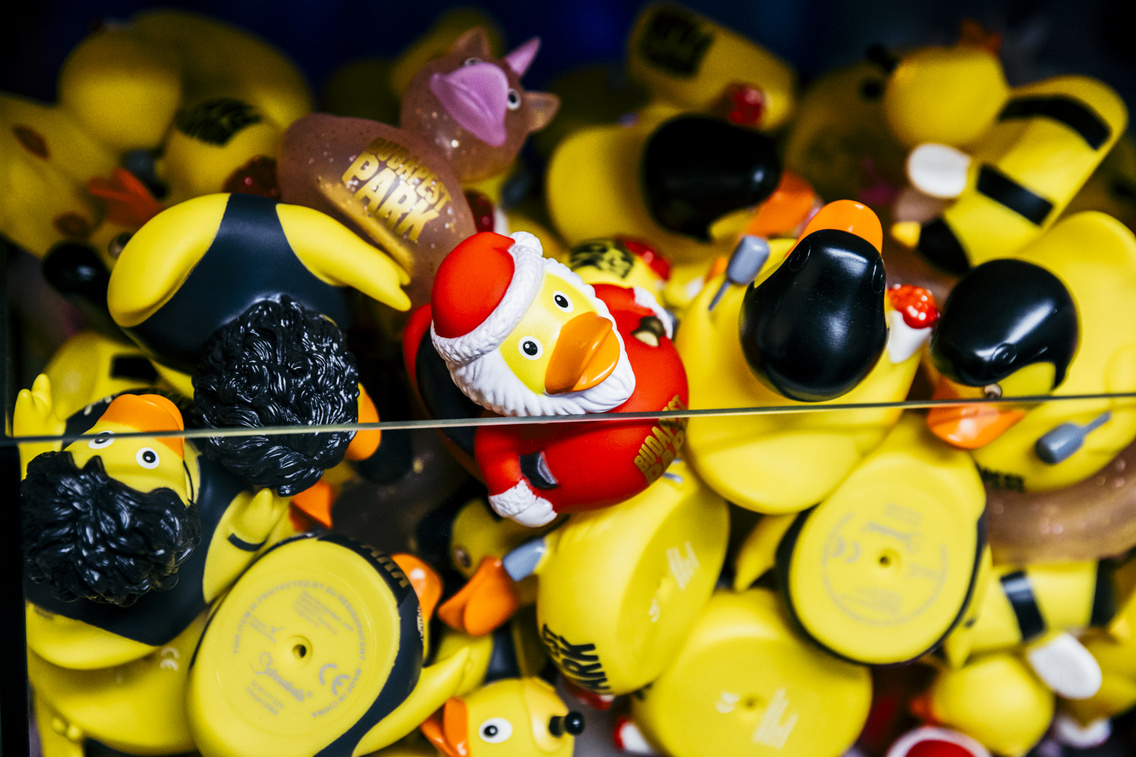 bp park korcsolyapalya 251128 dontaszzoi 33