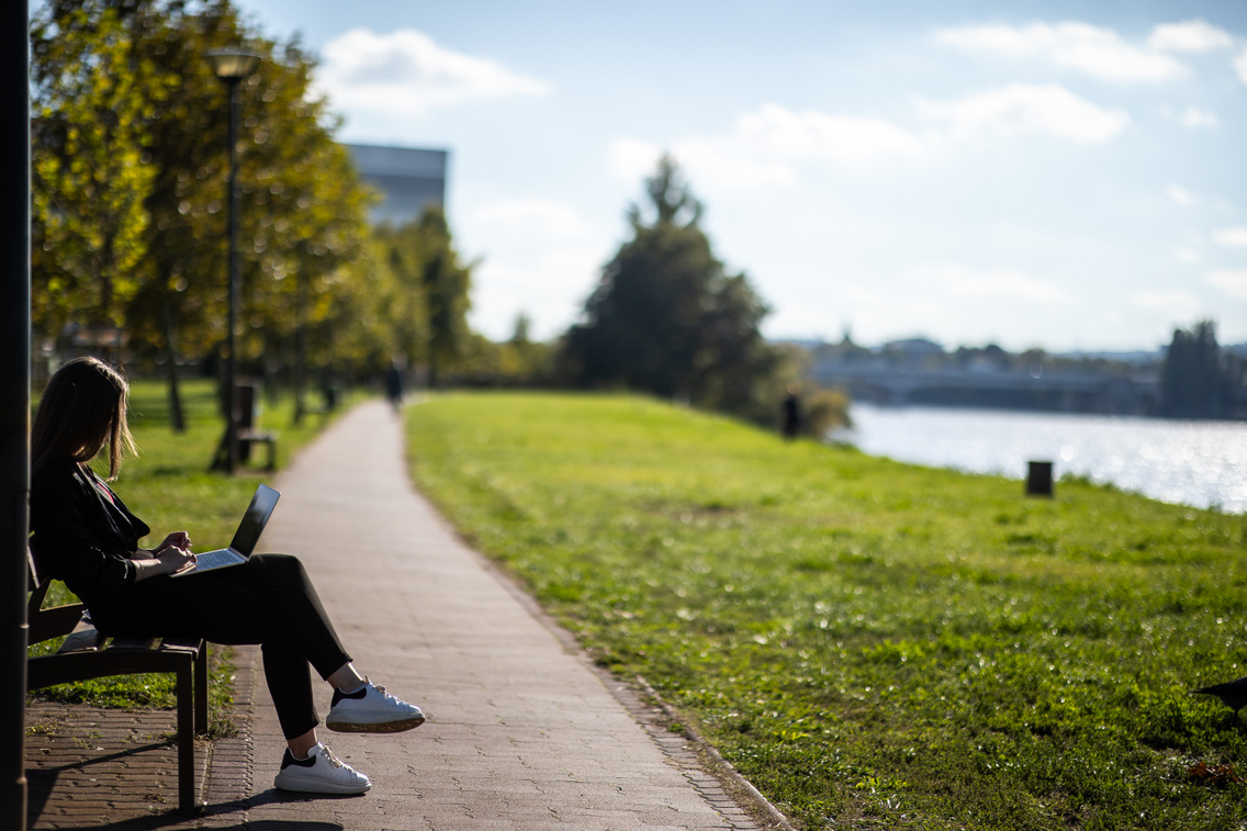 lakopark polyak attila 20241009 037