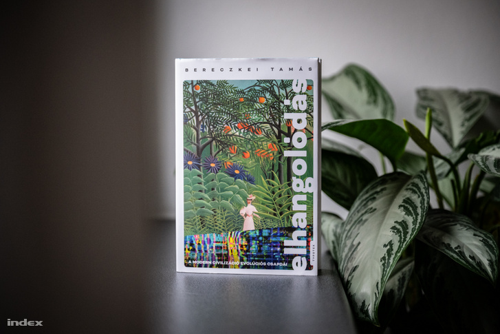 Bereczkei Tamás Elhangolódás című könyve