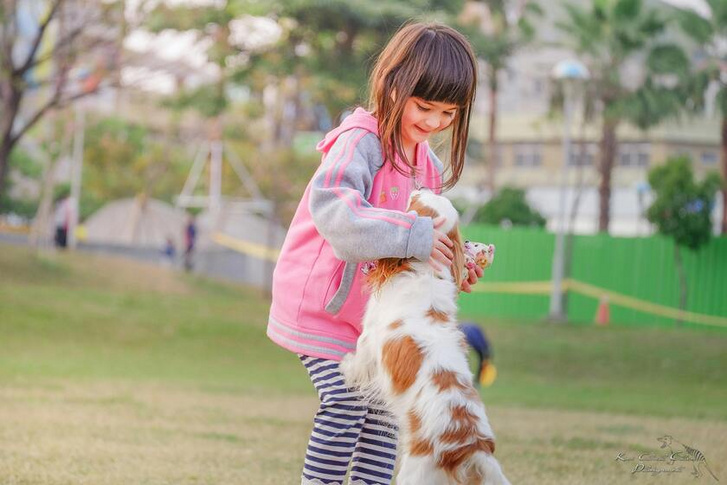 minimax pat the dog femina