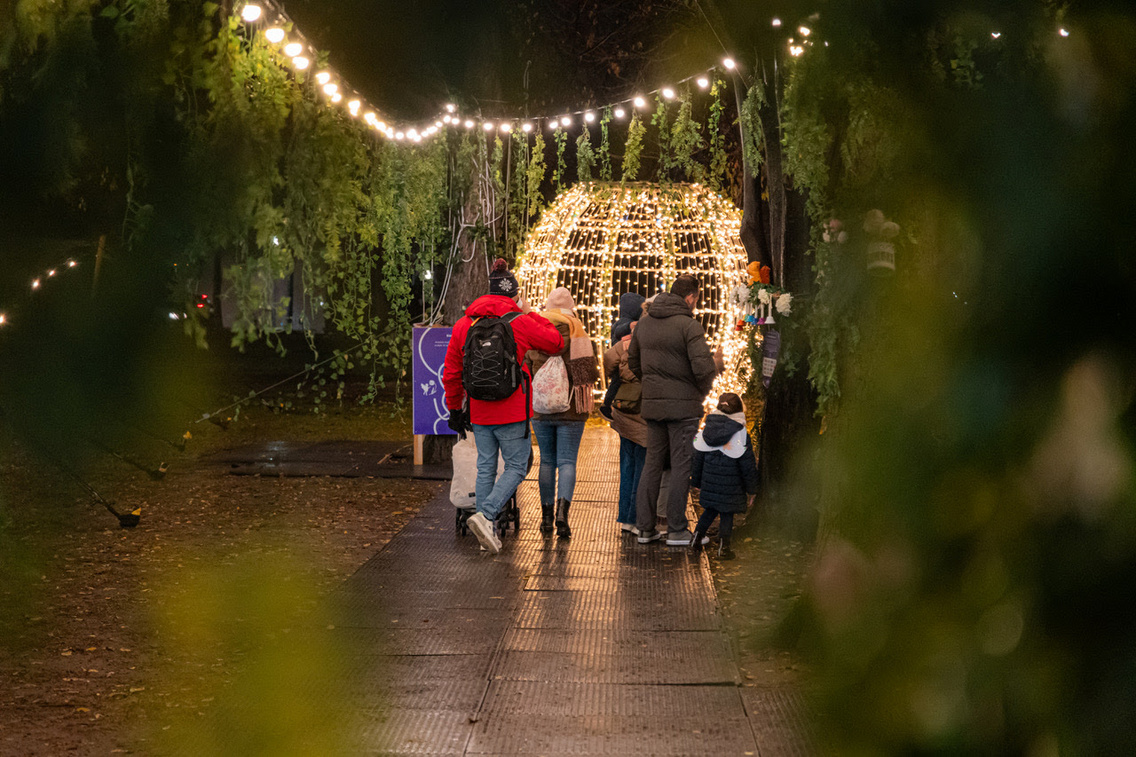 unnamed (2)varazsliget terrakotta